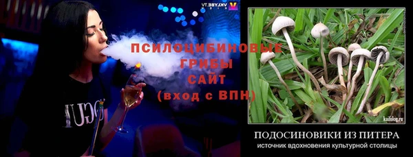 СК Краснослободск
