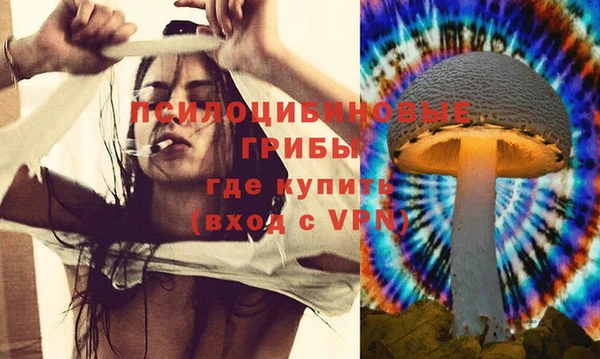 СК Краснослободск